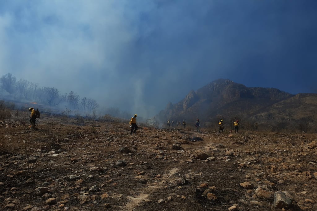 Durango registra 39 incendios forestales en mayo, 187 en el año
