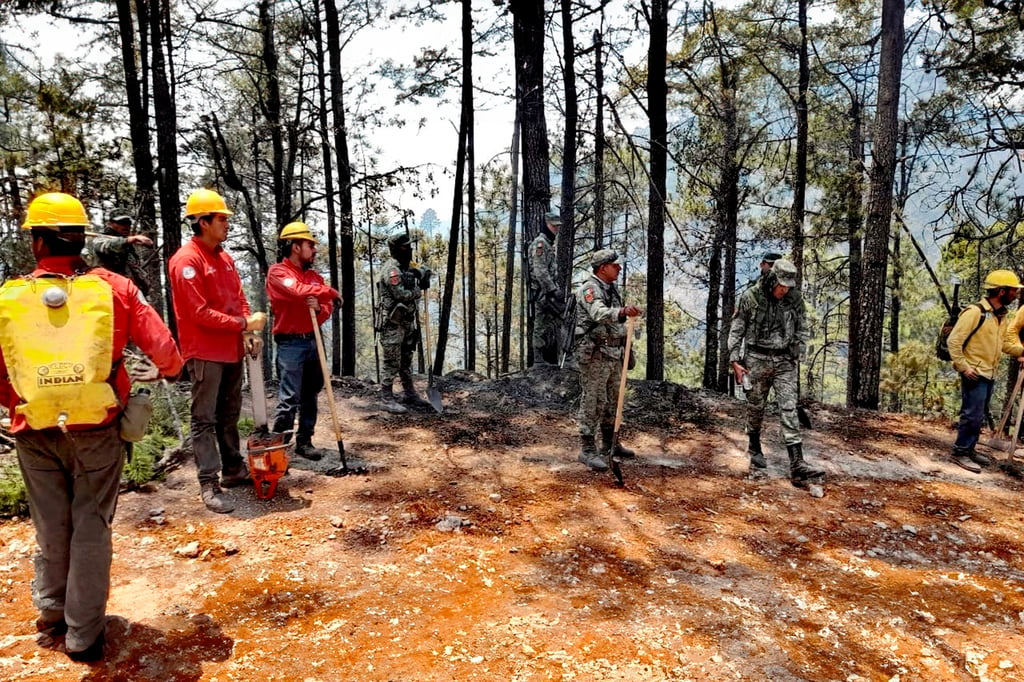Asciende a 2,500 hectáreas las afectadas por incendio en San Dimas