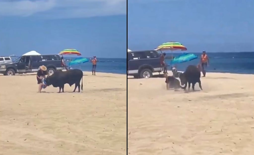 VIDEO: Mujer sufre embestida de un Toro en playa de Los Cabos, Baja California Sur