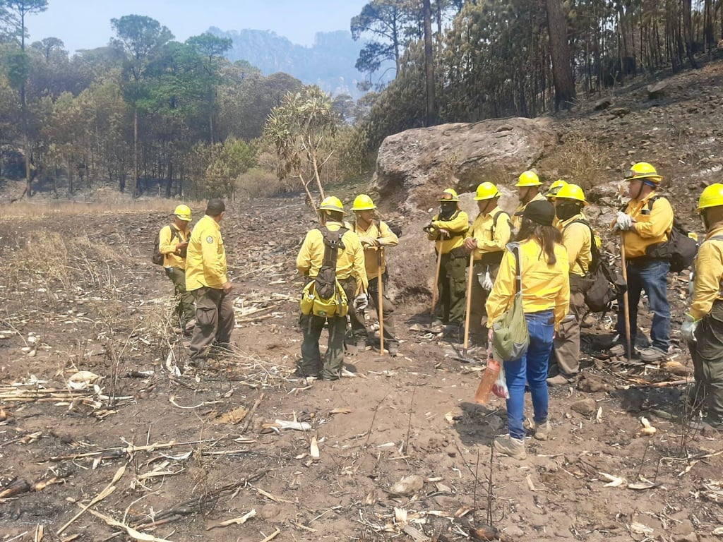 Controlan el 70% de incendio forestal en San Dimas