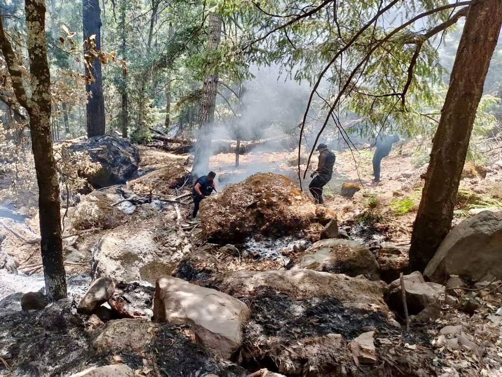 No hay recurso para mitigar incendios en Durango: Regidor