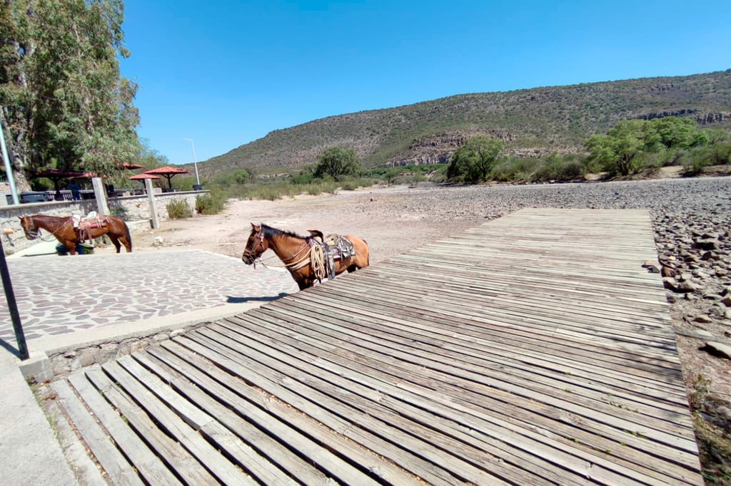 Sin agua y sin vida en El Pueblito