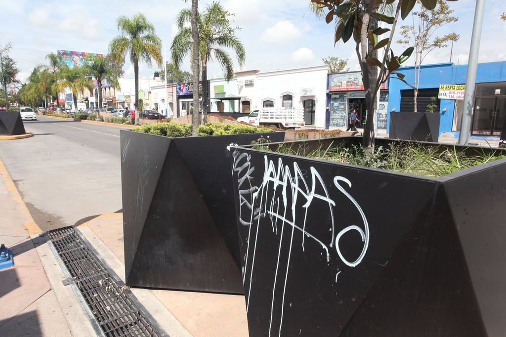 Sin obstáculos. A pesar de que hay vigilancia en el Centro, no es suficiente para detener el vandalismo y los grafitis.