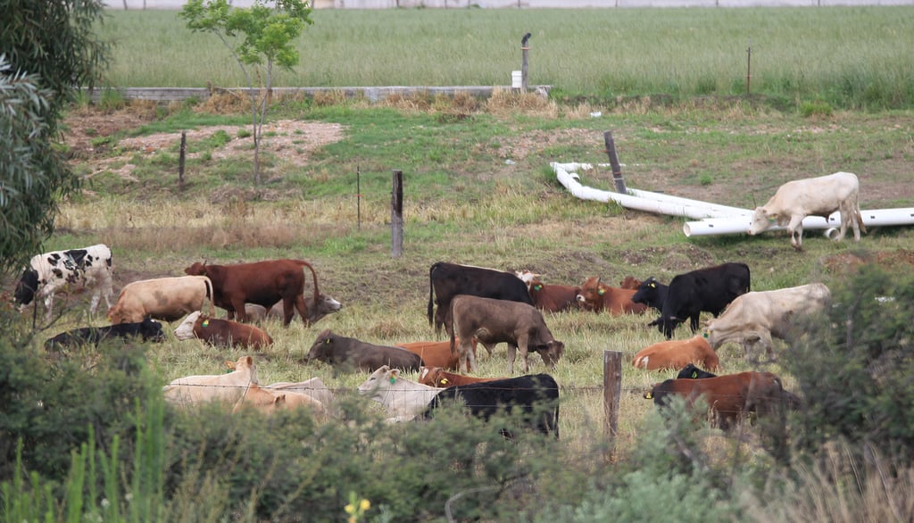 Tiempo. Antes de que termine el año, se deberá tener el barrido completo en la entidad, pero el proceso está detenido.