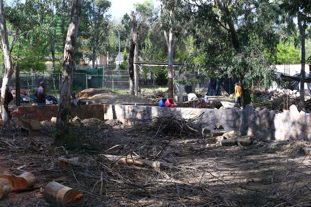 Por plaga, retirarán árboles del parque Sahuatoba