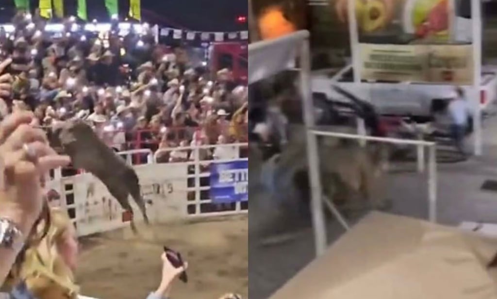 VIDEO: ¡Desde la tercera! Toro salta valla y lesiona a tres personas en un rodeo de Oregón
