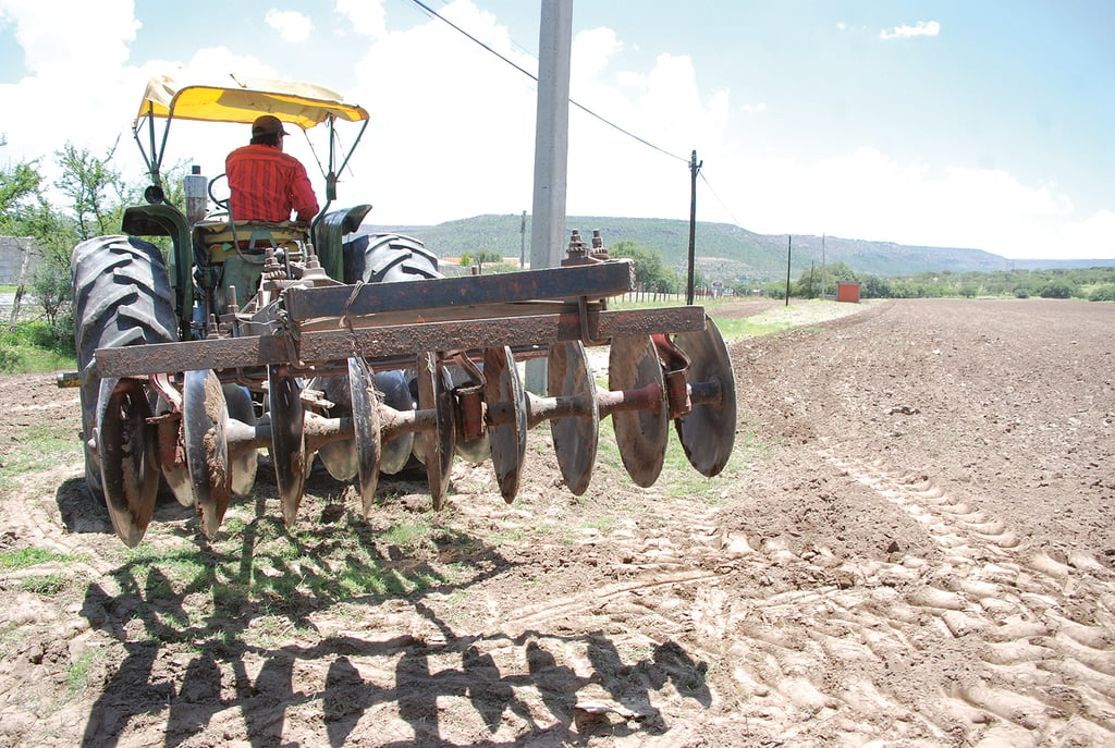 Proponen subsidiar semilla certificada de frijol para productores de Durango