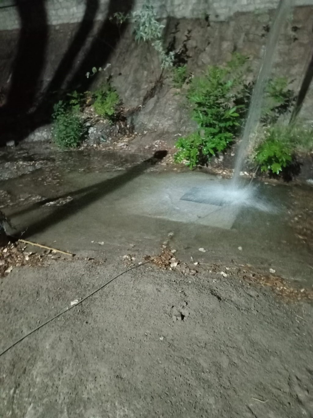 Problema. Este tanque sí está tirando mucha agua por las noches; se pide revisar las raíces, que podrían estar dañándolo.