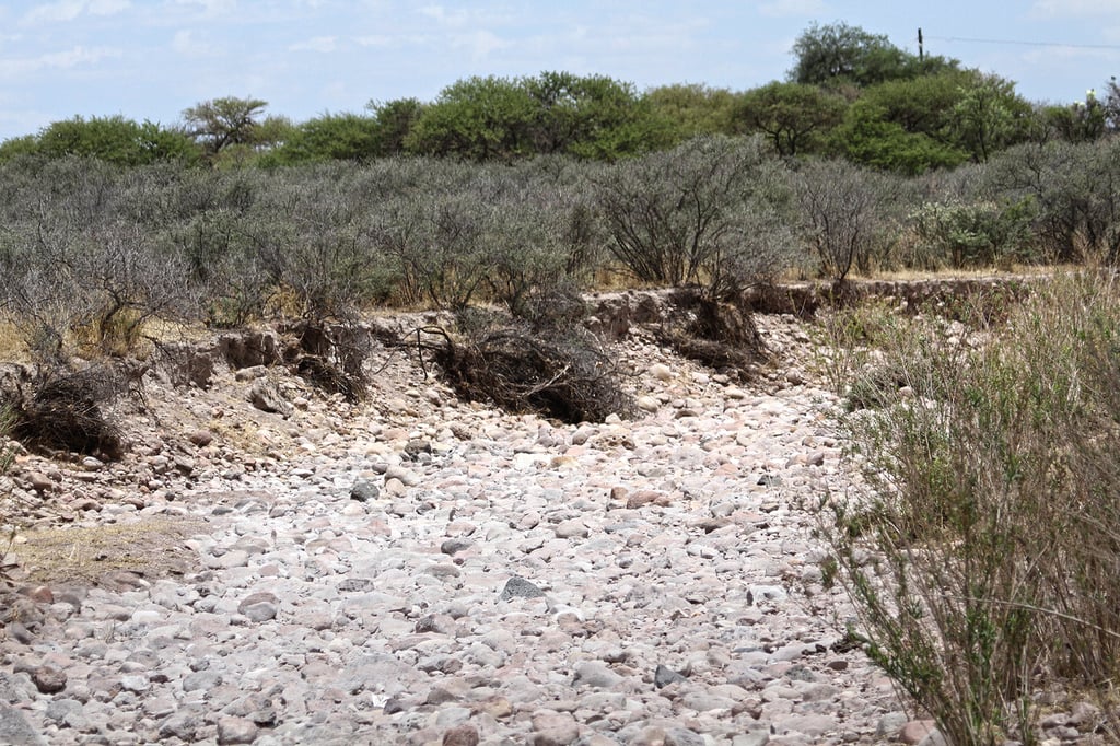 Sequía. Los productores agrícolas y ganaderos han sido de los más afectados por la falta de lluvias; esperan un temporal normal este 2024.