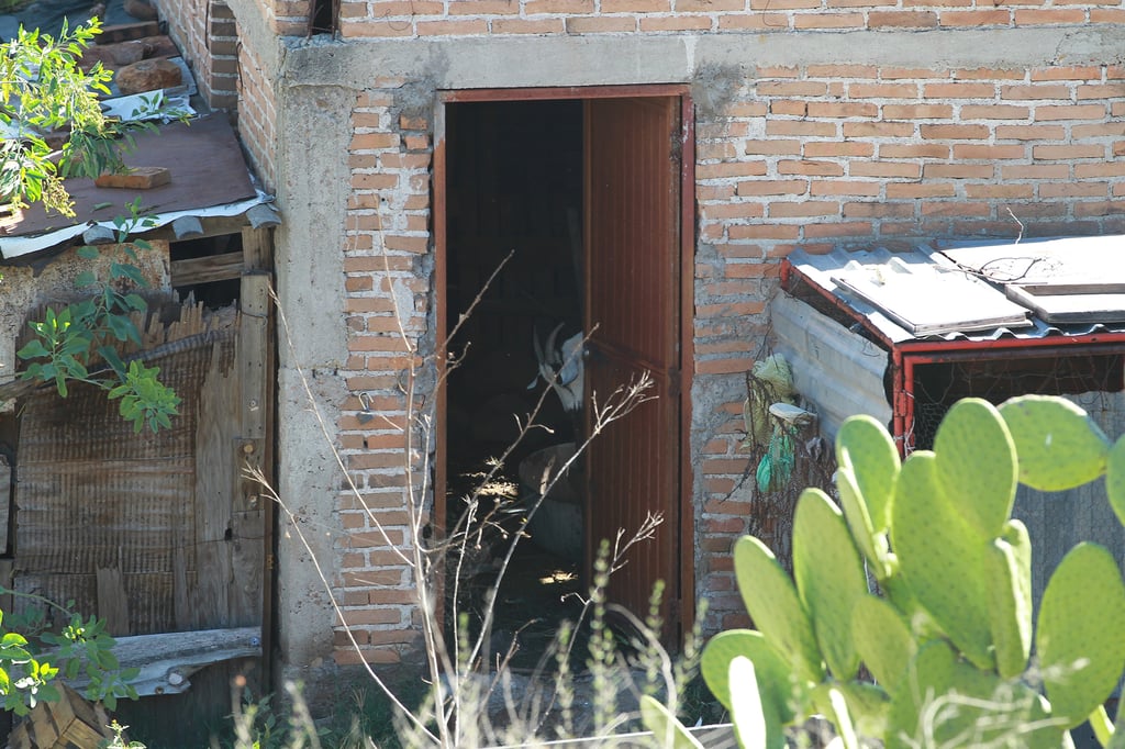 Hacinamiento en Durango: Hasta 20 personas habitaban una vivienda