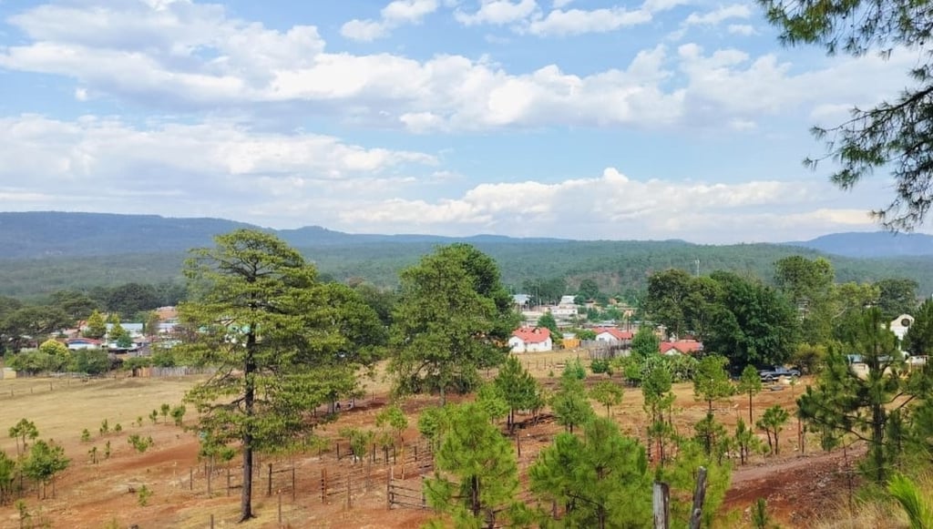 Verde. La Sierra vuelve a tomar el color verde de la vegetación, con las primeras lluvias registradas en la entidad, aunque aún falta para que se recuperen los cuerpos de agua.