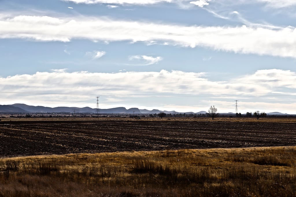 Ventaja. Con la siembra se asegura alimento para muchas familias, pues algunas lo hacen para consumo personal.