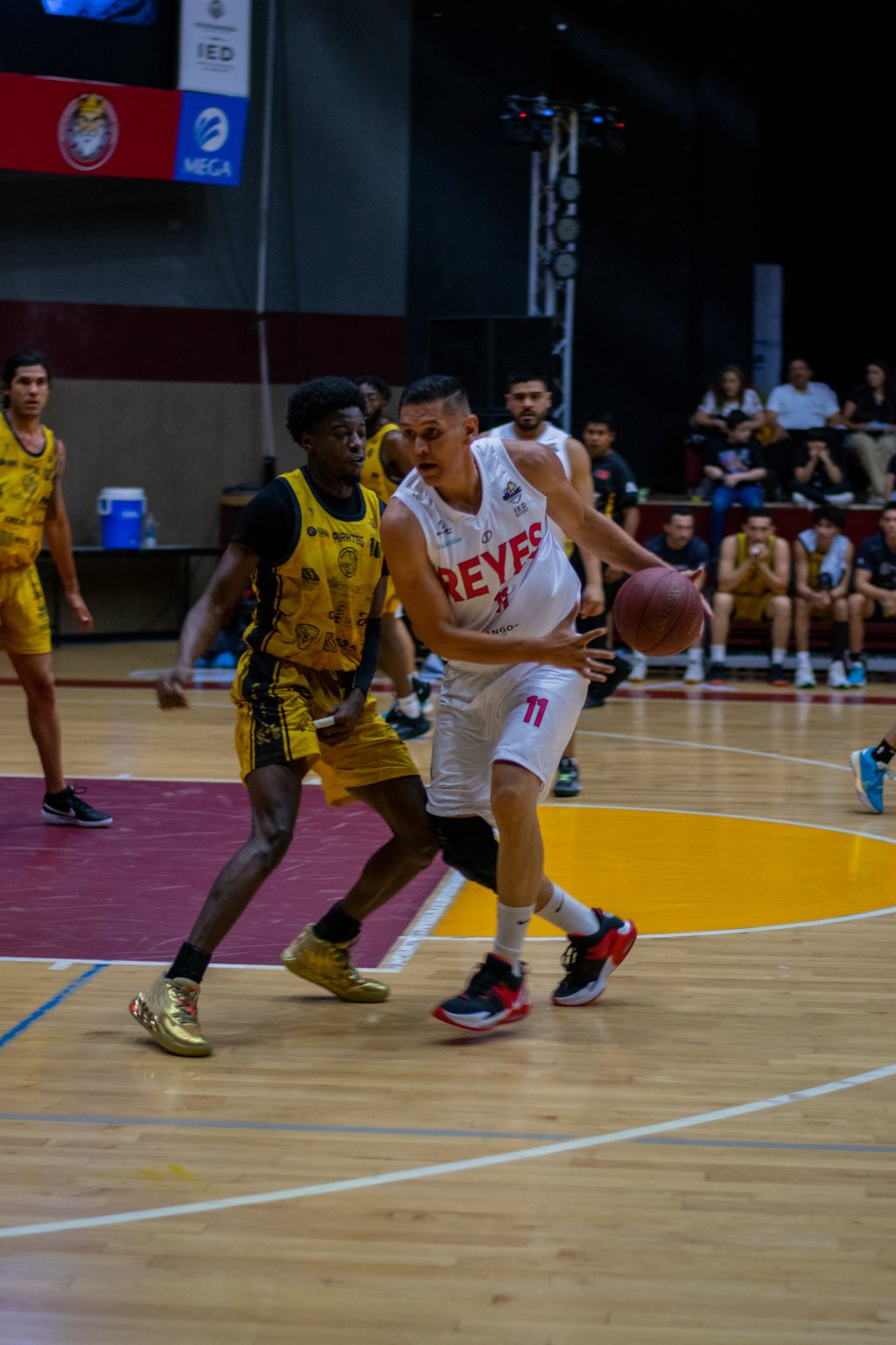 Agenda. En punto de las 20:30 horas Los Reyes de Durango reciben la visita de los Potros de Reynosa en el Auditorio del Pueblo.