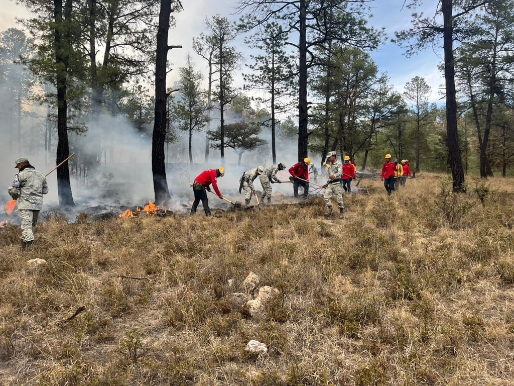 Efecto. Desde que se registraron las primeras lluvias, los incendios forestales activos se apagaron. 