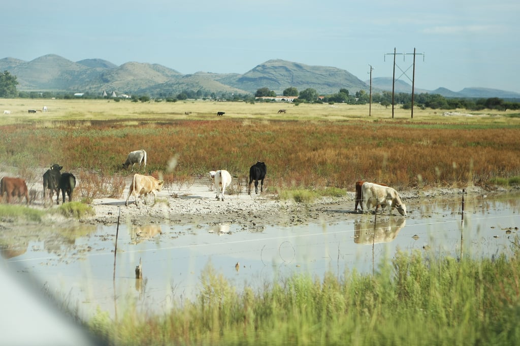 Durante junio, sequía retrocedió solo en 5 municipios de Durango