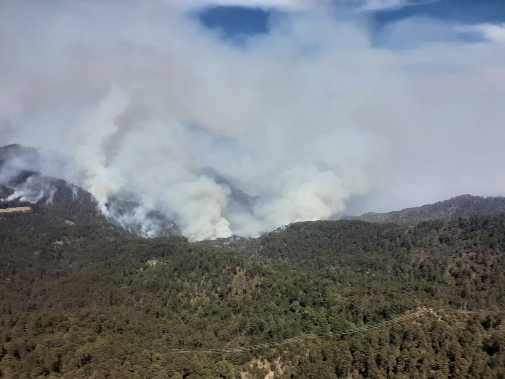 Prevención, clave contra incendios forestales en Durango