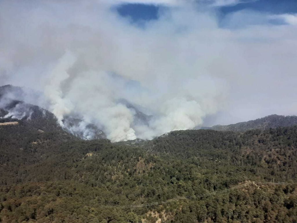 Severidad. Durante el presente año se registraron más incendios forestales que el año pasado.