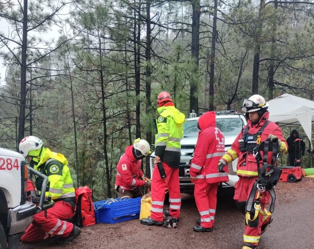 Al fondo de un barranco fue encontrado un trailer y a un costado el cuerpo sin vida de su conductor.