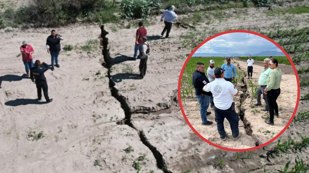 ¿Qué son y por qué se abren grietas en la tierra?