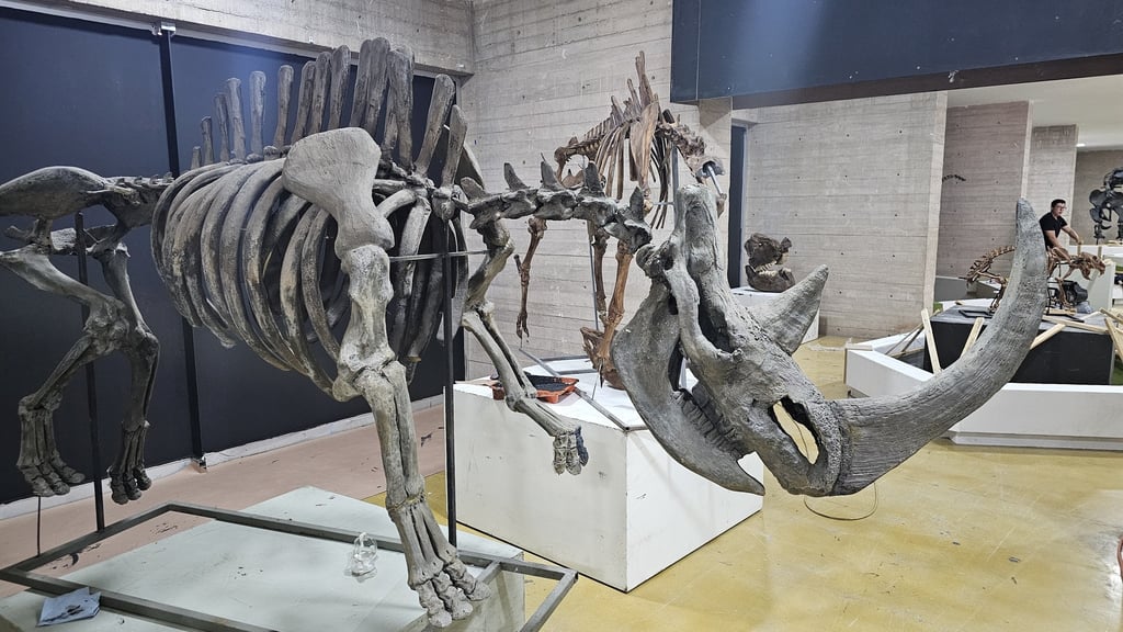 Un viaje a la 'Edad de Hielo' se alista en el Bebeleche