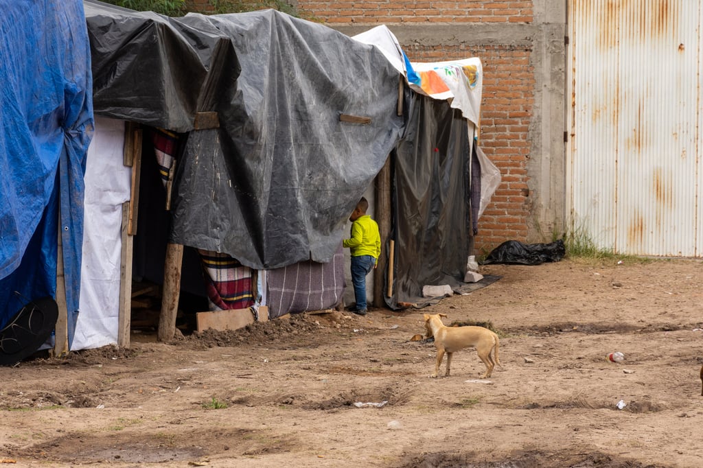 Vivienda. Hasta más de 10 personas viven en hogares con solo dos habitaciones y en asentamientos irregulares.