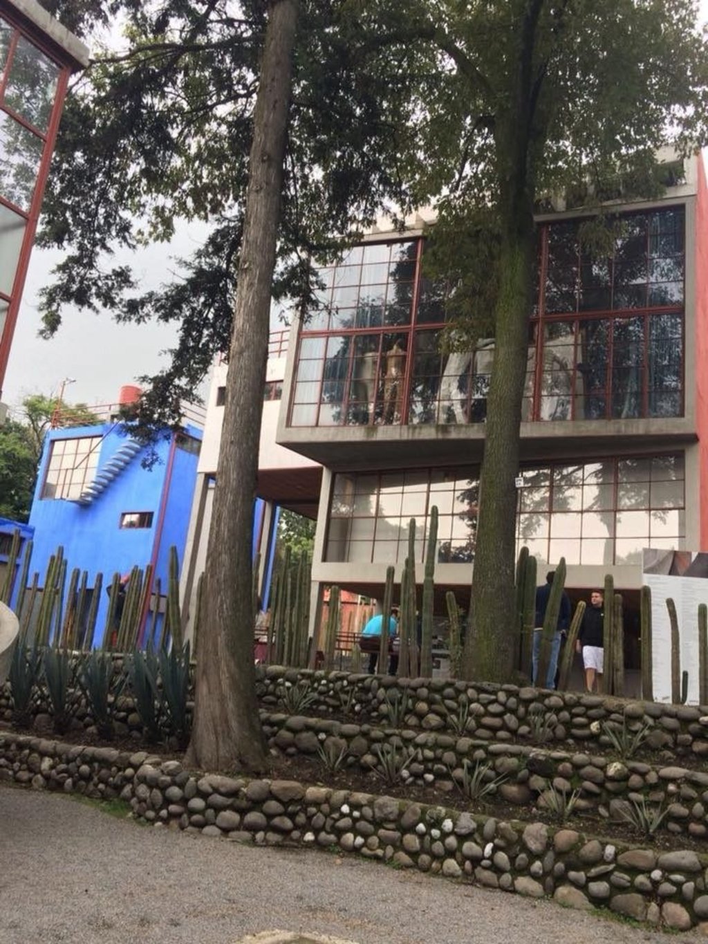 Actividad.  La celebración será con el taller 'Árbol de la esperanza', en el cual se donarán precisamente árboles.