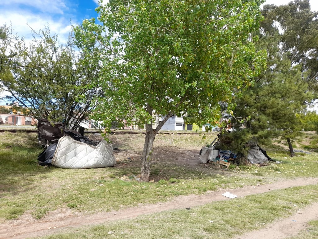 Derriban vivienda de materiales frágiles instalada en Parque Lineal