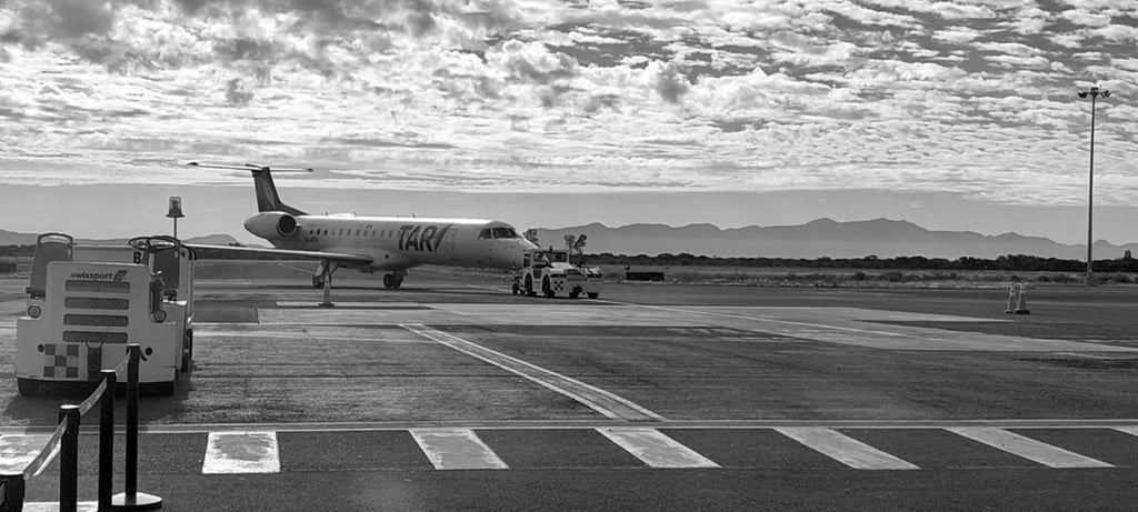 Respuesta. Las rutas  aéreas que iniciaron el año pasado por TAR han sido de éxito.