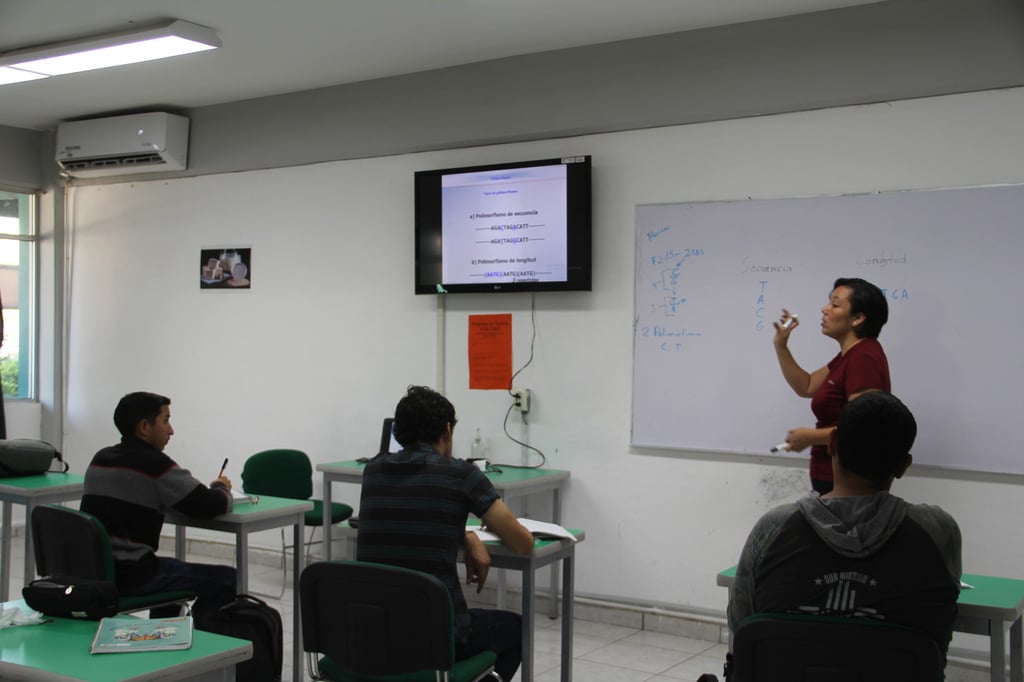 La instalación de este equipo en las aulas permitirá a los estudiantes participar en clases más dinámicas e interactivas.