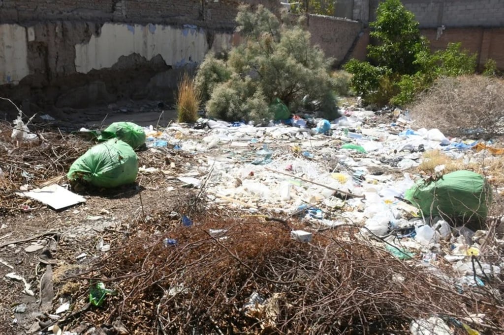 Acción. La basura en lotes baldíos es el principal conflicto ambiental en Gómez Palacio.