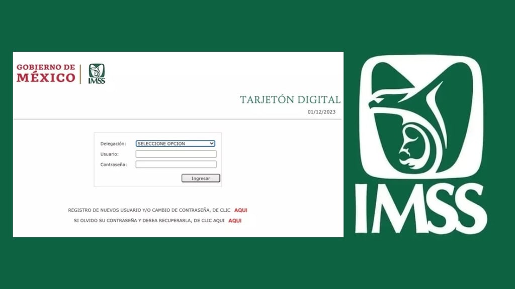 IMSS: ¿Para qué sirve el tarjetón digital y cómo consultarlo?