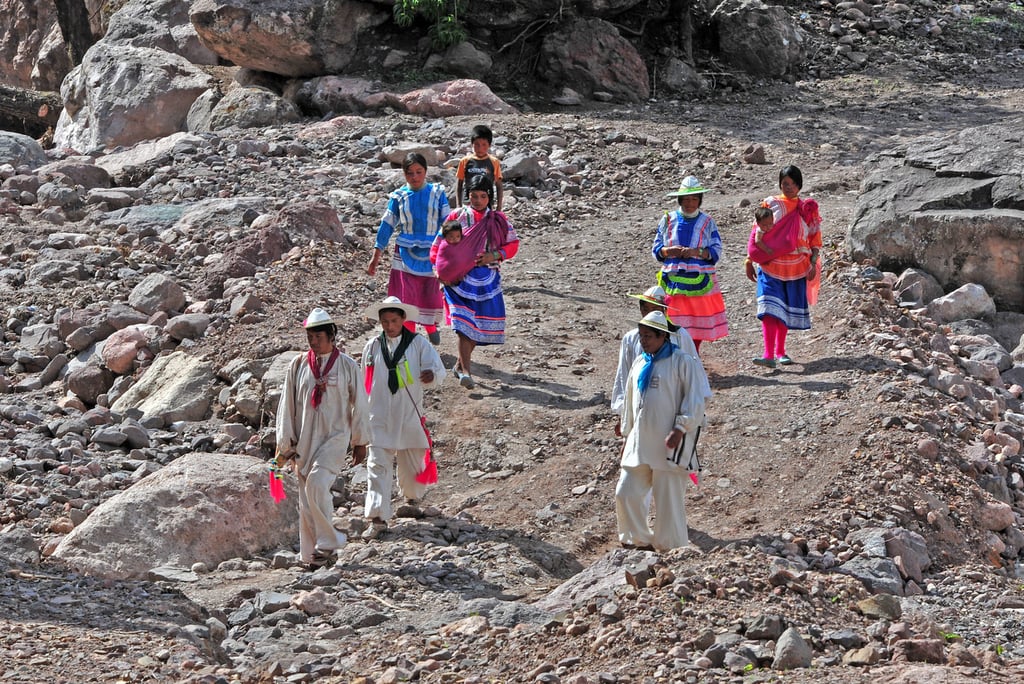 Reconocimiento. Son 5 etnias indígenas las que conviven en la entidad: tepehuanos, mexicaneros o náhuatl, huicholes, coras y tarahumaras o rarámuris.