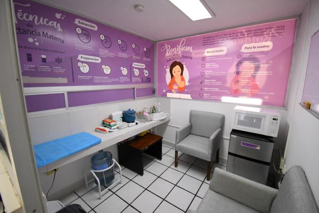 Previsión. A nivel local también se han presentado propuestas para crear lactarios en empresas.