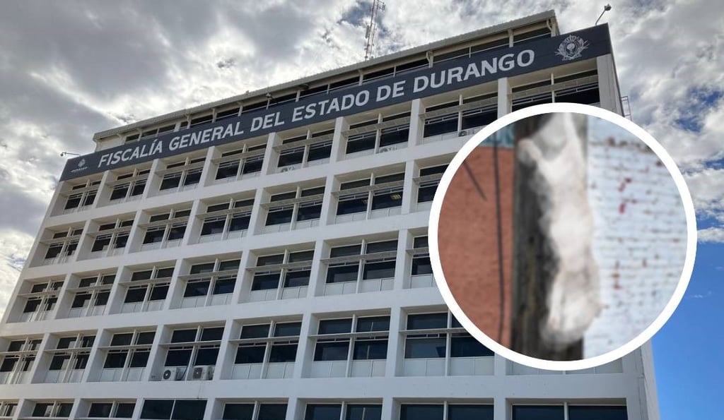 Asesinato de perro fue un delito y es competencia de la Fiscalía: Juzgado Cívico