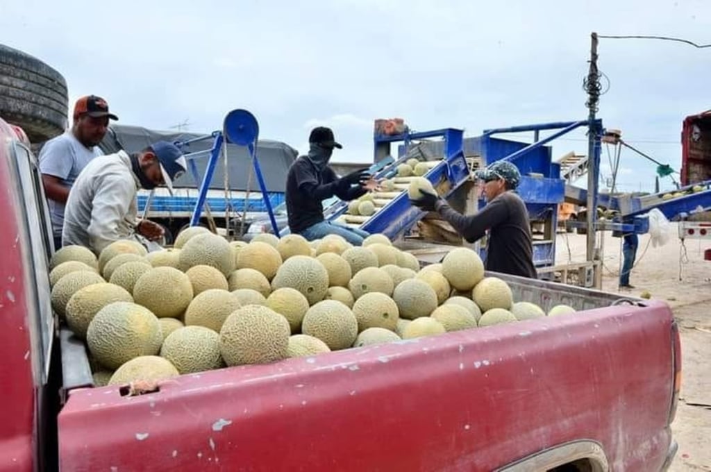 Objetivo. Buscan apoyar a los productores en la comercialización nacional para que reciban precios justos y sin intermediarios.