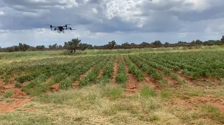 Abaten con tecnología las plagas en sembradíos de Durango