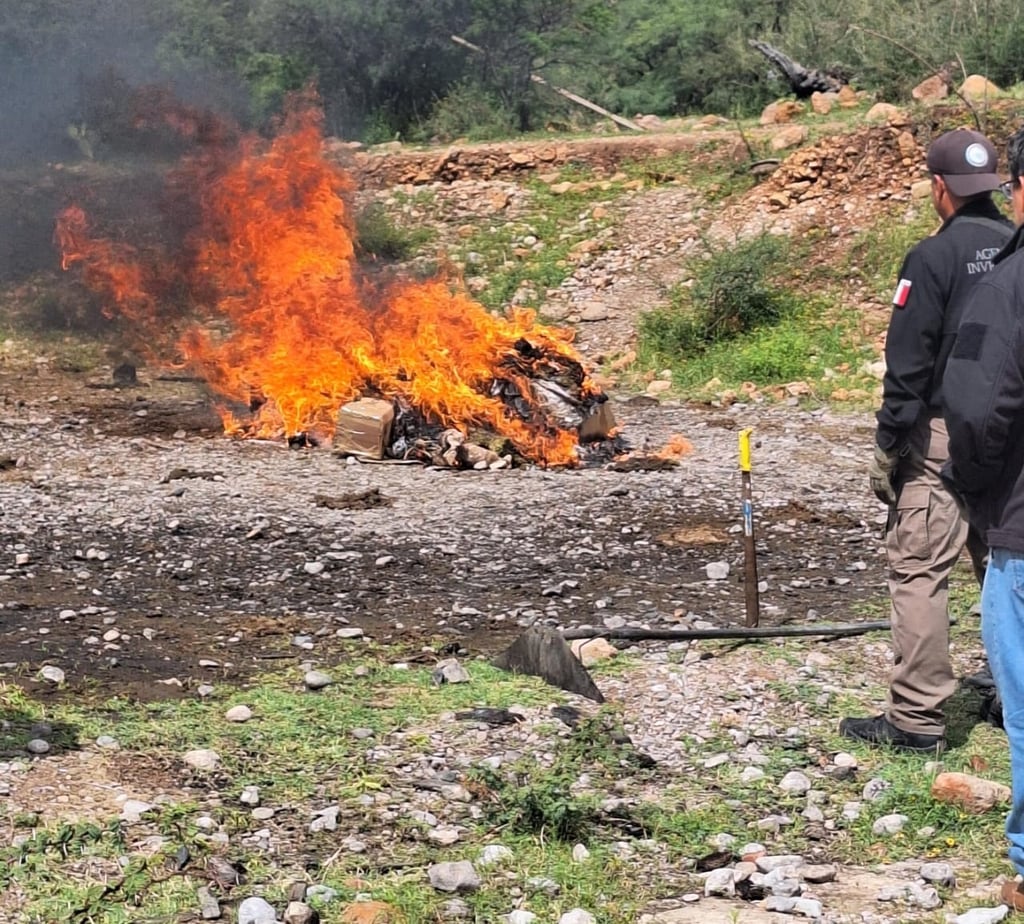 Labor. La Fiscalía General de la República incineró cerca de 20 kilogramos de diferentes narcóticos en Durango.