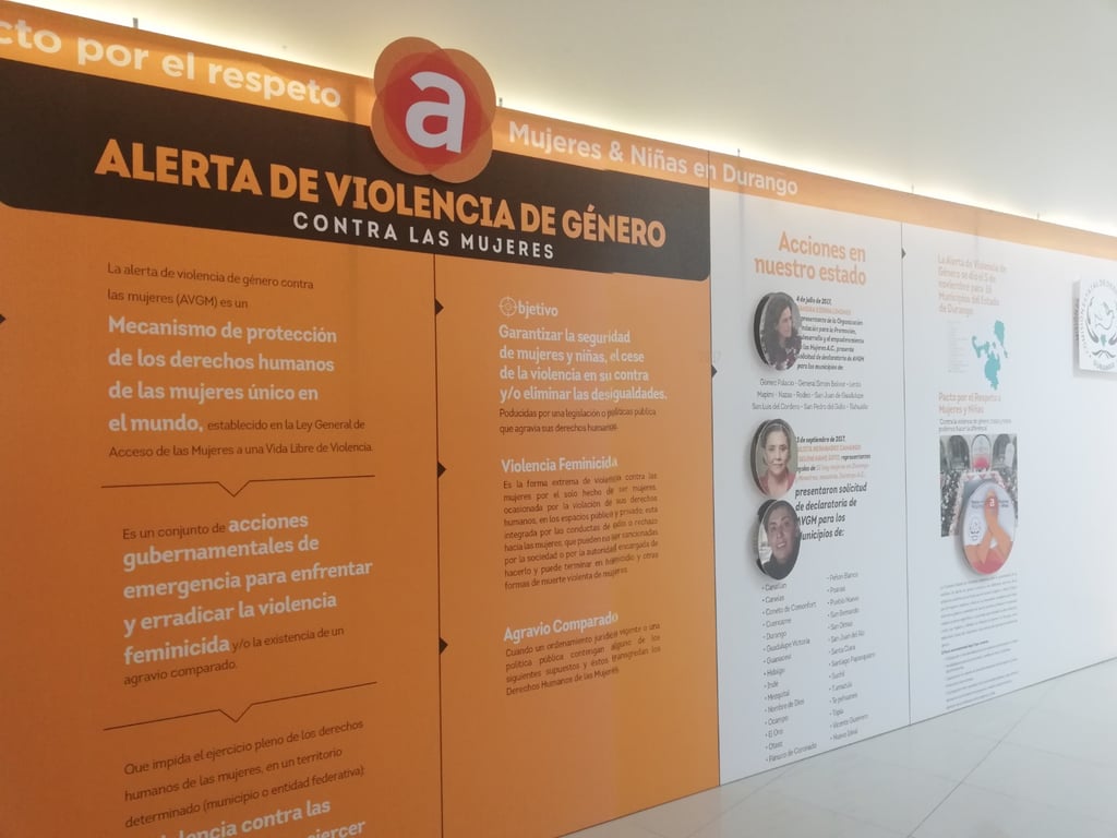 Mecanismo para levantar la Alerta de Violencia de Género no se ha evaluado