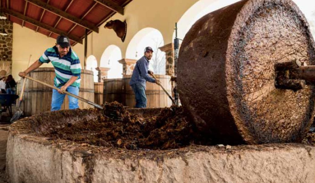 Proceso. Será un evento donde se mostrará a los asistentes la etapa más importante de la producción de mezcal.