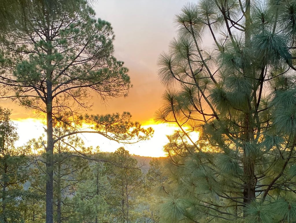 La Sierra de Durango sufre por Sinaloa