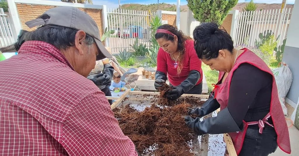 Mujeres duranguenses elaboran macetas de bagazo de maguey para obtener ingresos