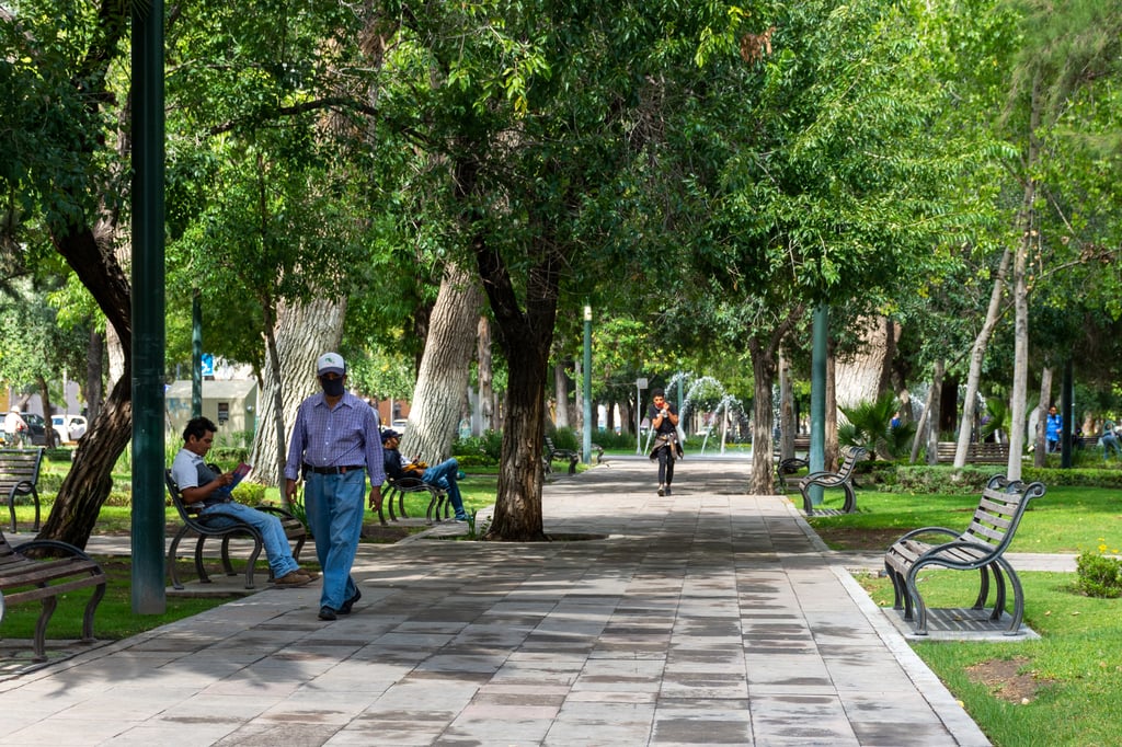 Emiten recomendaciones por fuertes ráfagas de viento que pronostican en Durango capital