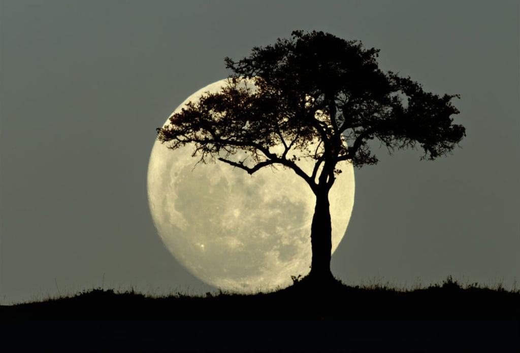 Bajo la luna de octubre