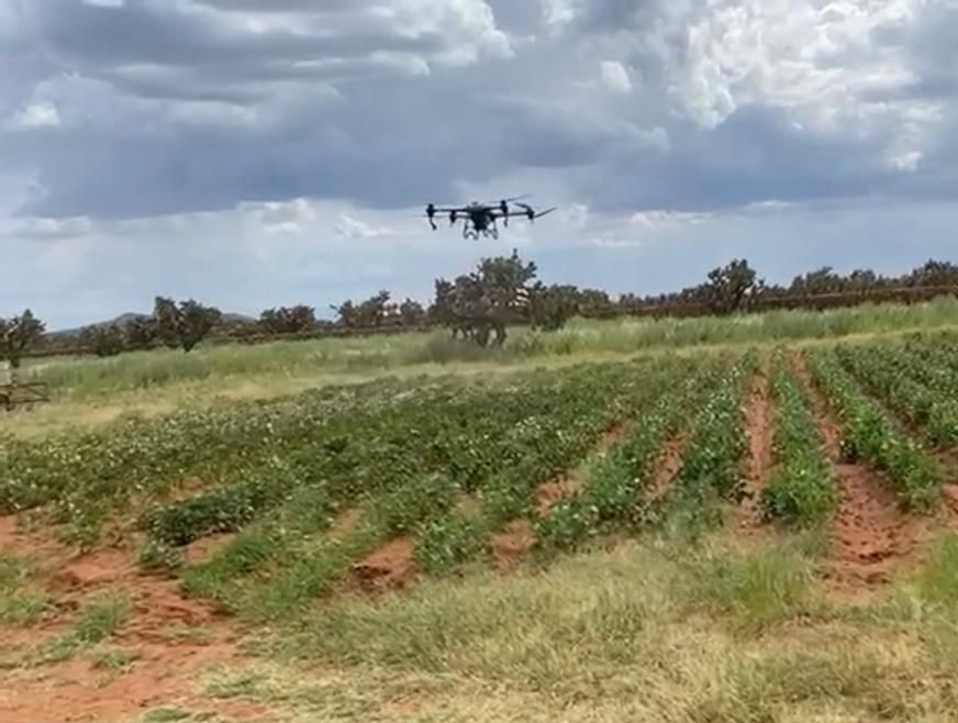 Precio de garantía debe establecerse: Diputado