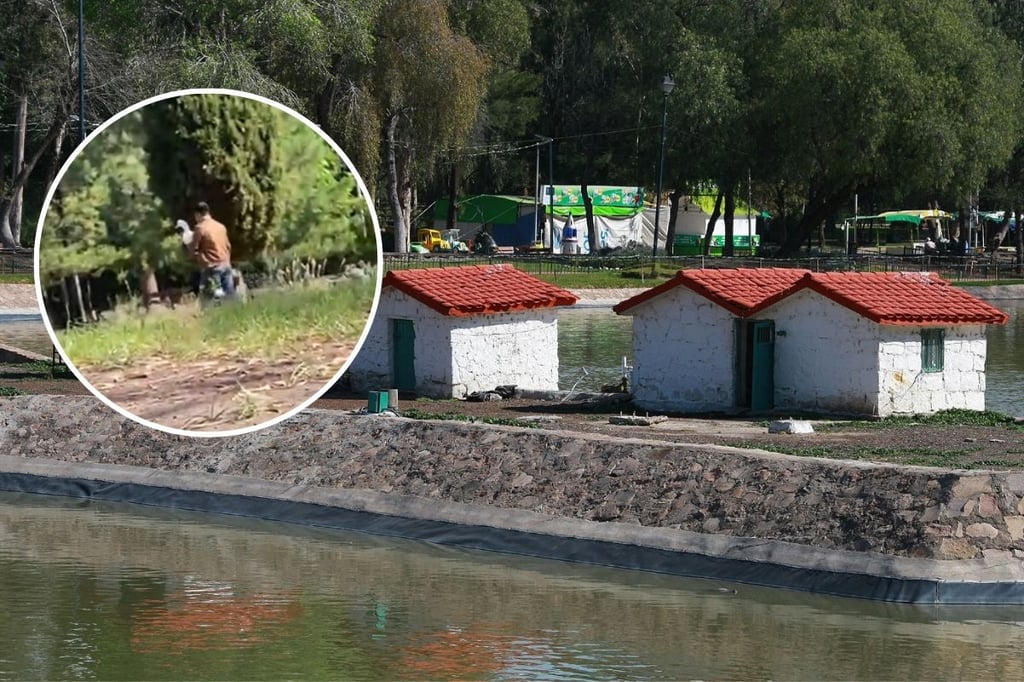 Continúa el robo de patos en el Parque Guadiana; ahora exponen a un hombre | VIDEO