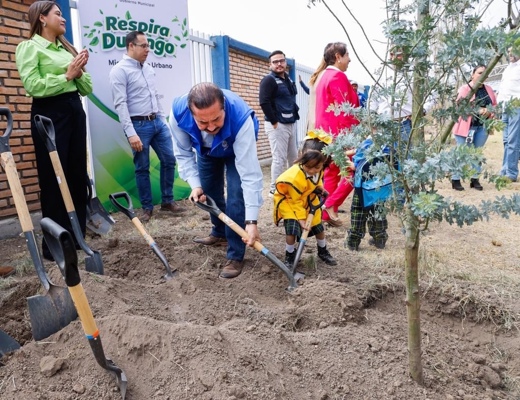 Actividad. Se plantaron 30 árboles de hasta 7 metros de altura, de especies como fresno, acacia y crespón.