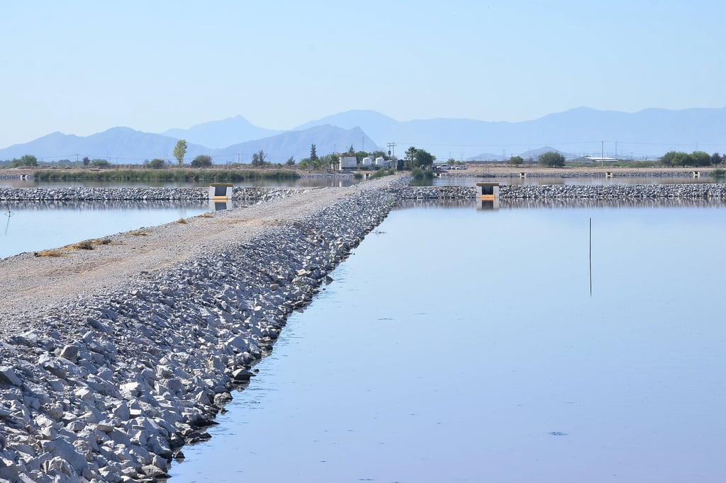 'Parecen selvas'; el 50% de lagunas de saneamiento ya cumplió su vida útil: CAED