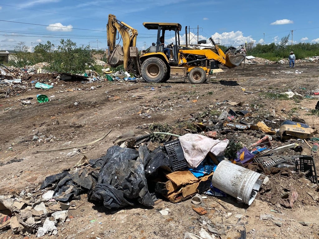 Piden claridad sobre acciones ambientales y forestales en Durango