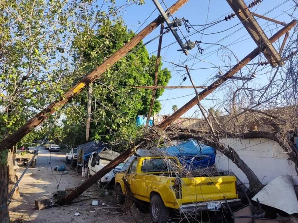 Hecho. La colonia quedó sin suministro eléctrico durante una hora debido a la caída de los postes.