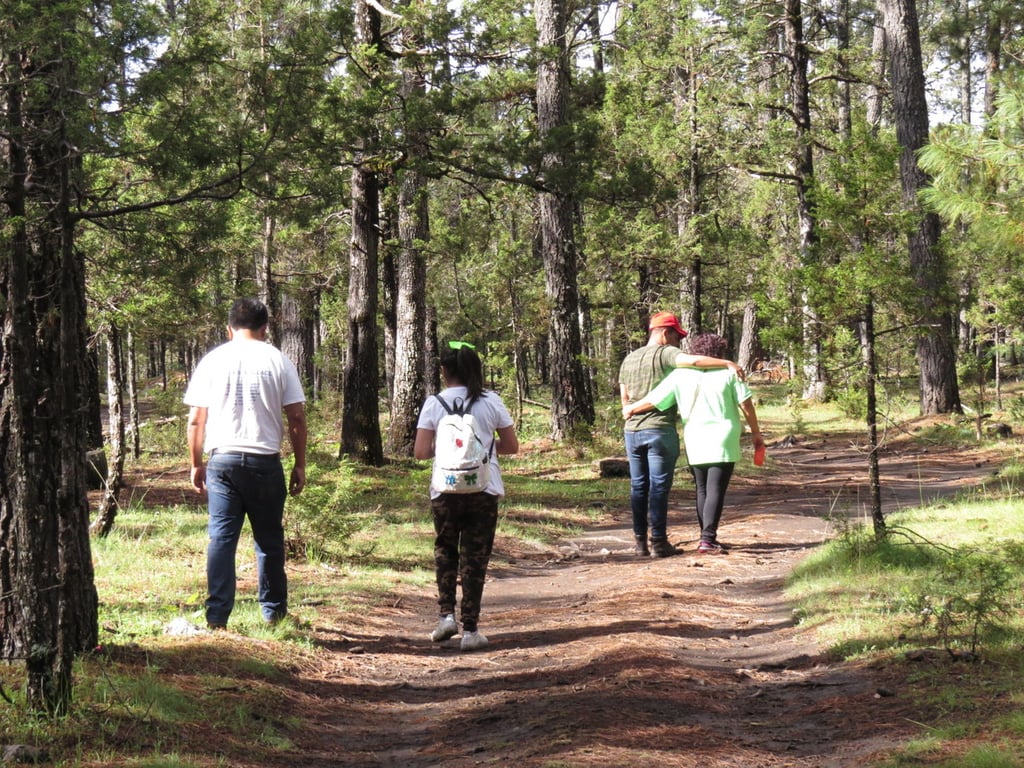 Turismo. La idea es lograr que la gente regrese a la Sierra y a las cabañas para pasar los fines de semana.